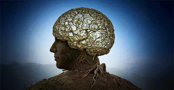 Zihinsel Değişim ve Dönüşüm